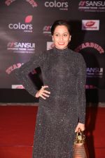 Shweta Pandit at 14th Sansui COLORS Stardust Awards on 19th Dec 2016